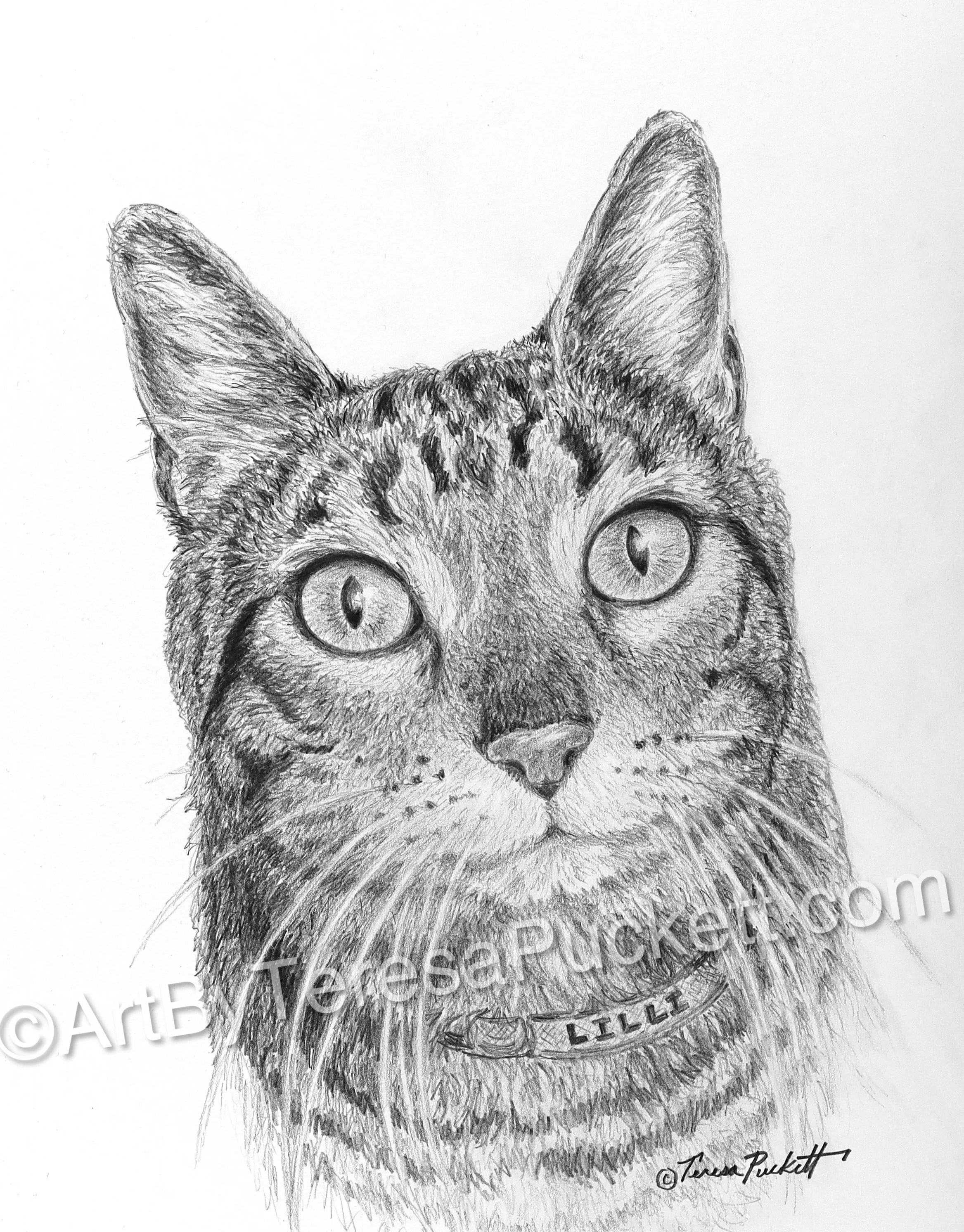 Lilli Was A Joy To Sketch