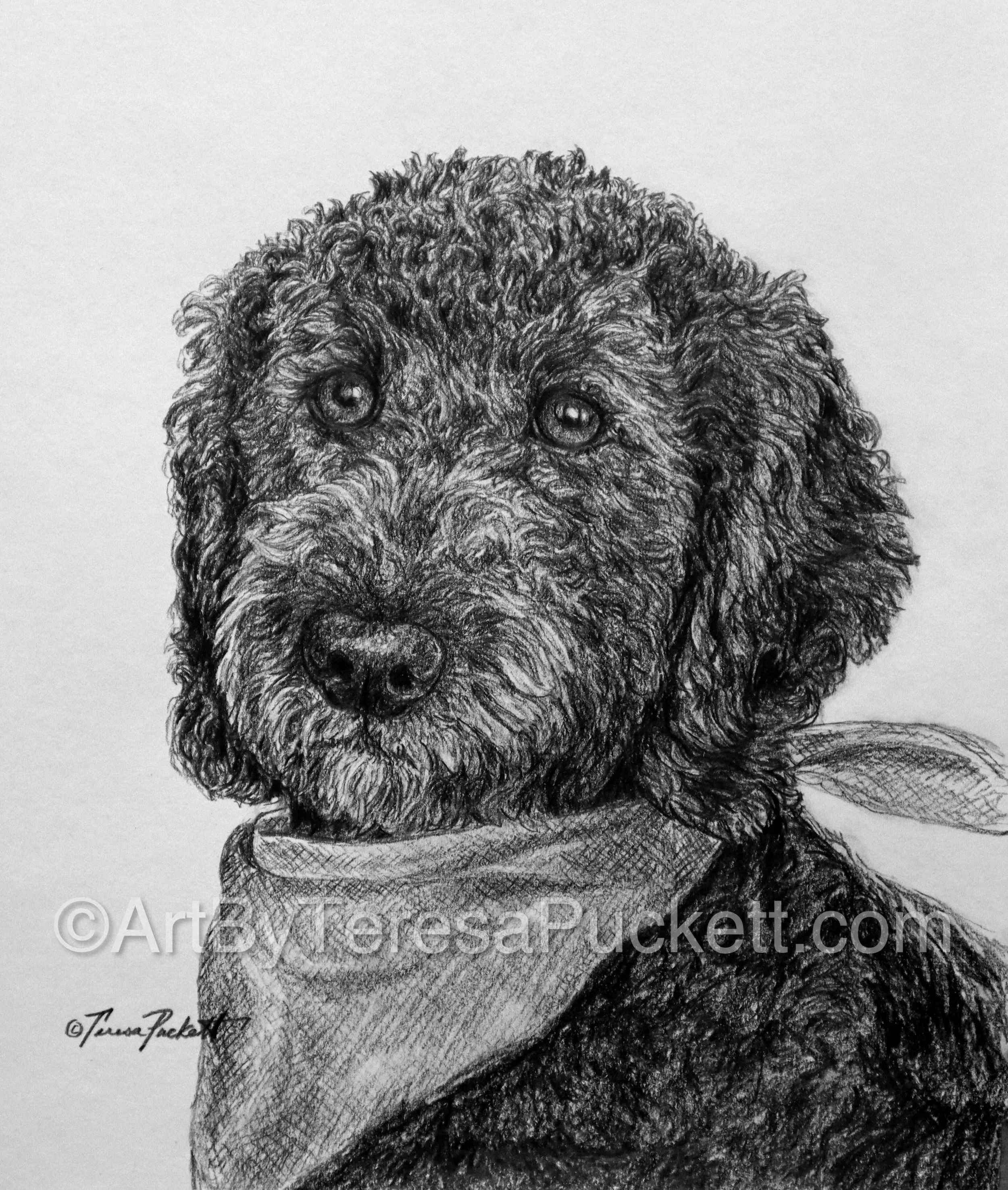 Part Poodle-Part Shadow-All Love .Pippi