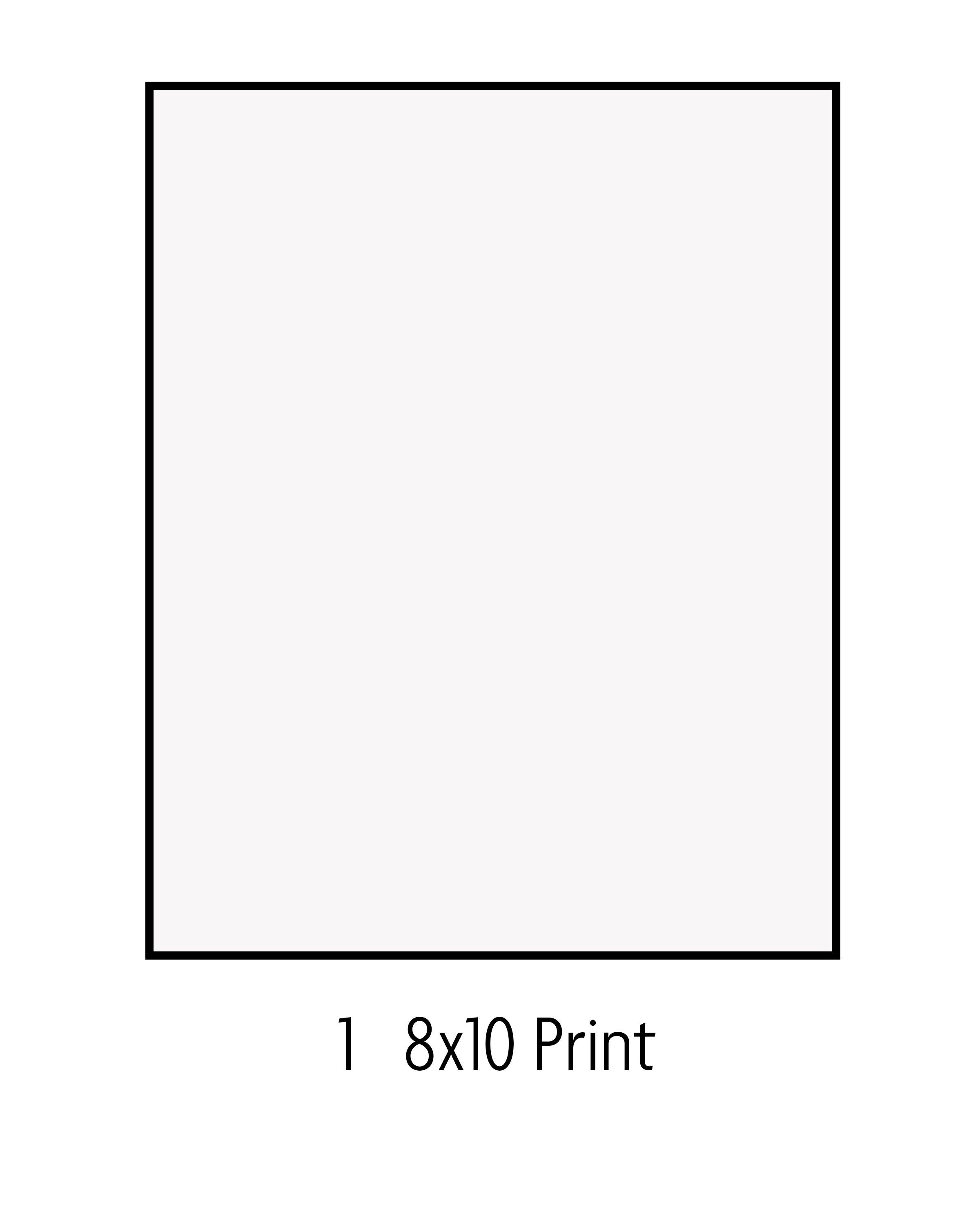 PV 1 8x10 Print