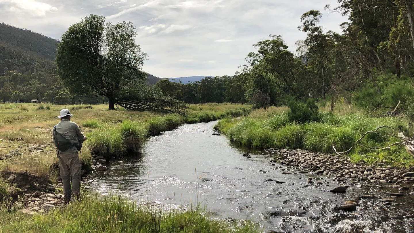 Dreaming of this...
.
.
.
#flyfishing #flyfishoz #flyfishaustralia