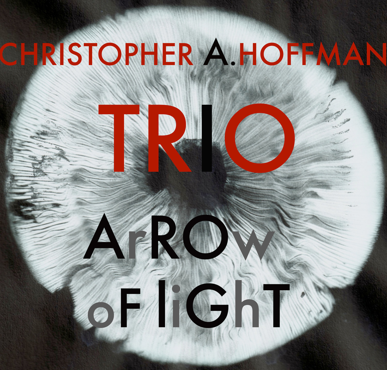 Christopher Hoffman Trio - Arrow of Light