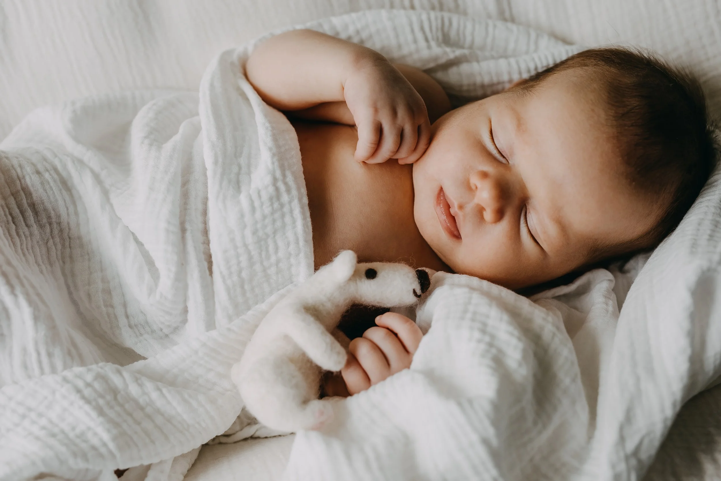 AdobeStock_441151520.jpeg