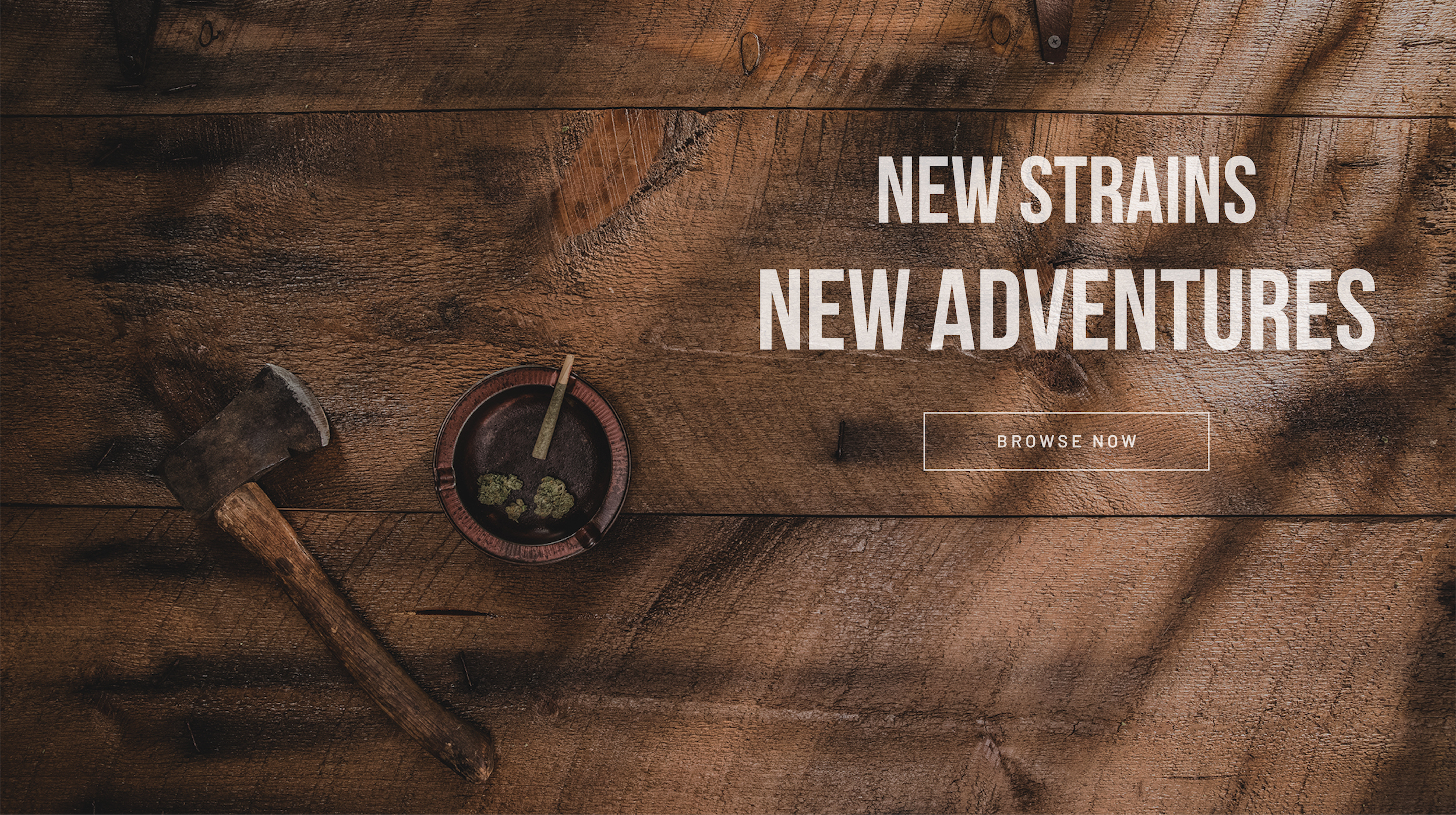 Axe HWF New Strains New Adventures for Home Slideshow small.jpg
