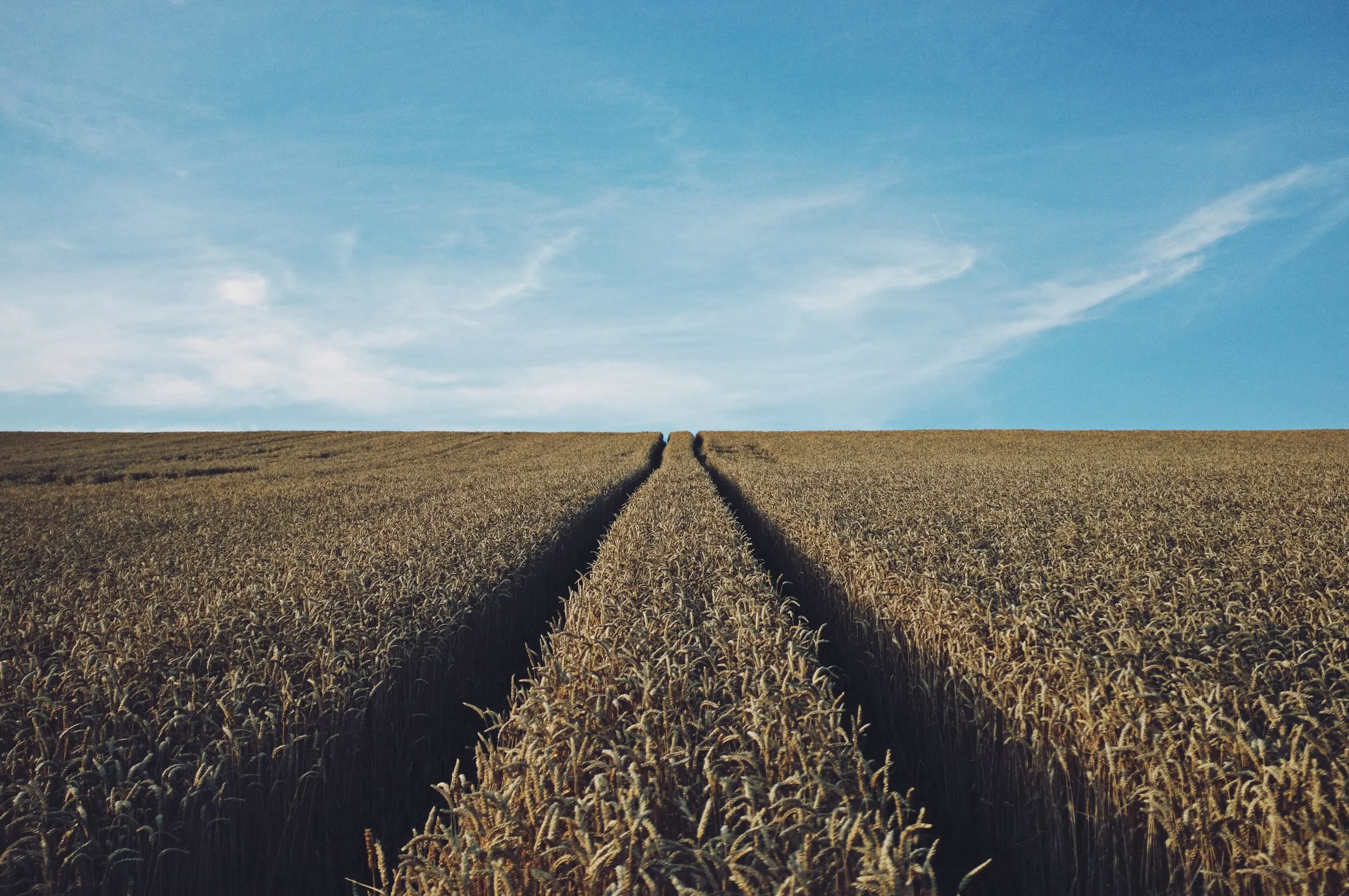 Let's get together for the farmers!