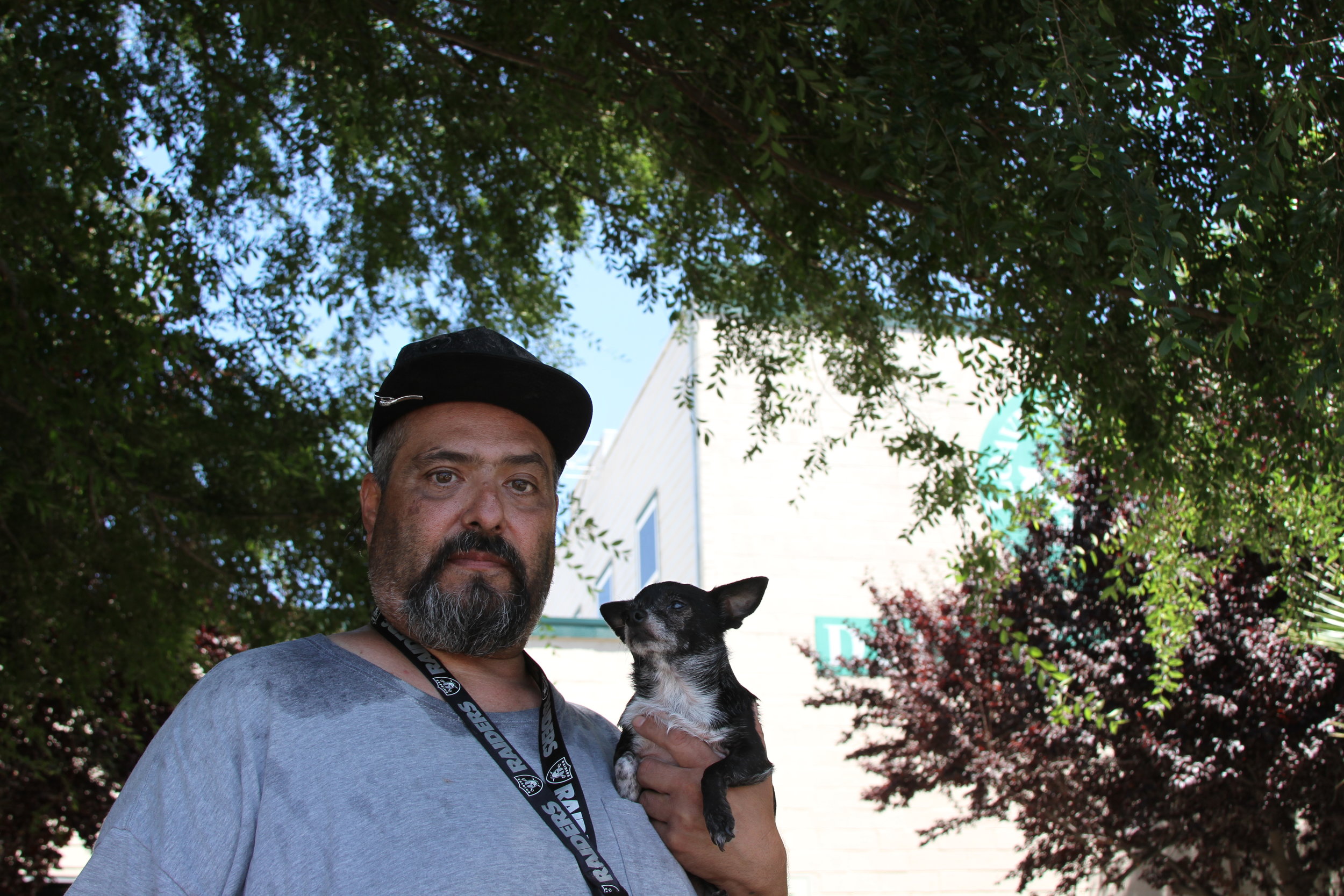 mercer veterinary clinic