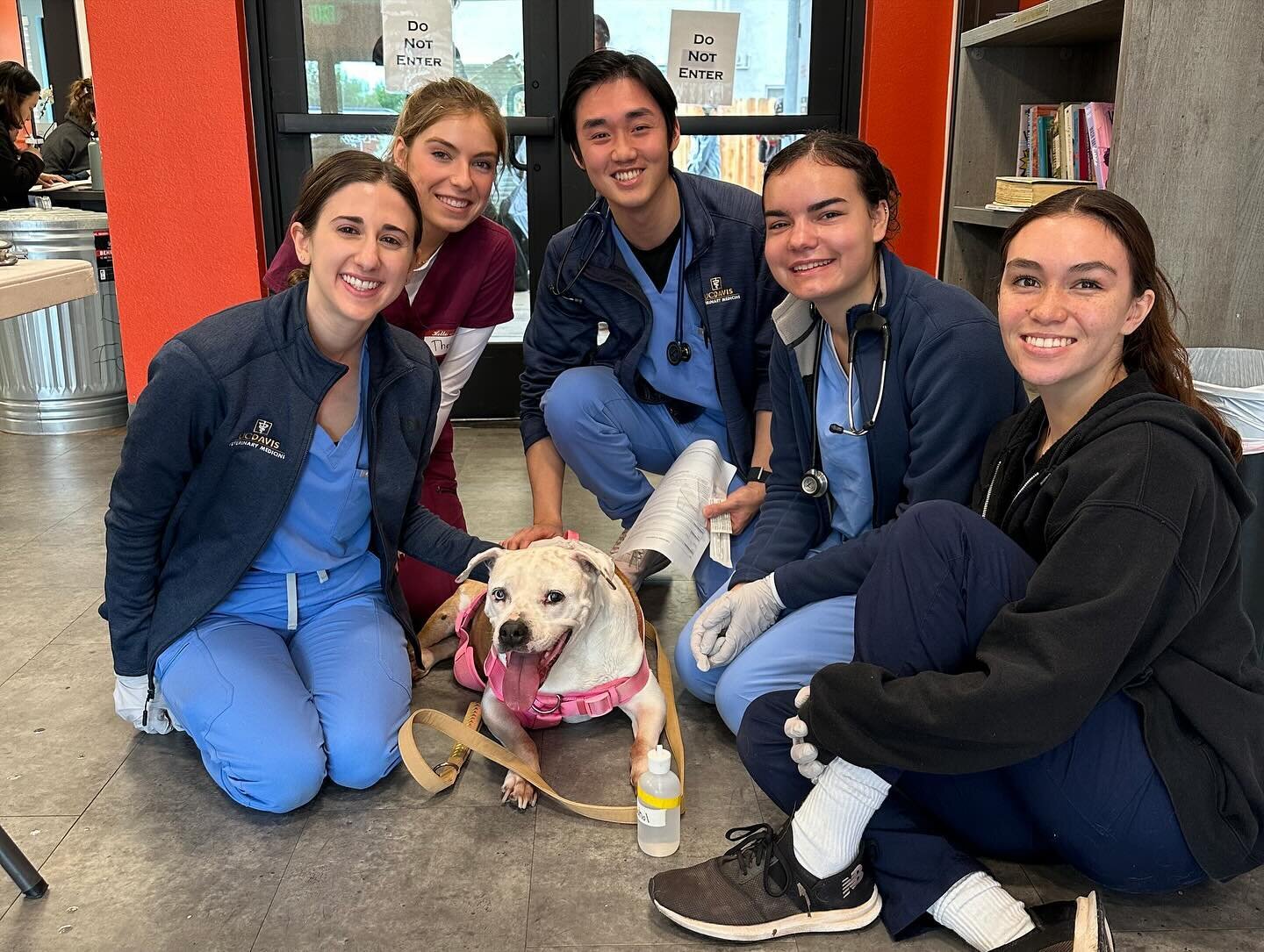 Here&rsquo;s a sneak peak into our clinic yesterday! A big thanks to all our clients and volunteers who make it all happen. Swipe left to catch a glimpse of some of our adorable patients and amazing volunteers. Mark your calendars &ndash; our next cl