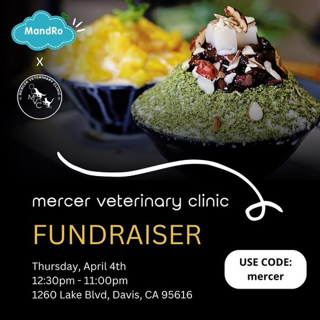 Mercer and DPAW clinics are having a fundraiser at MandRo Teahouse this Thursday, April 4th, from 12:30pm-11pm. Swing by and enter the code &ldquo;mercer&rdquo; with the kiosk or online, and if you are an undergrad looking to volunteer, email us the 