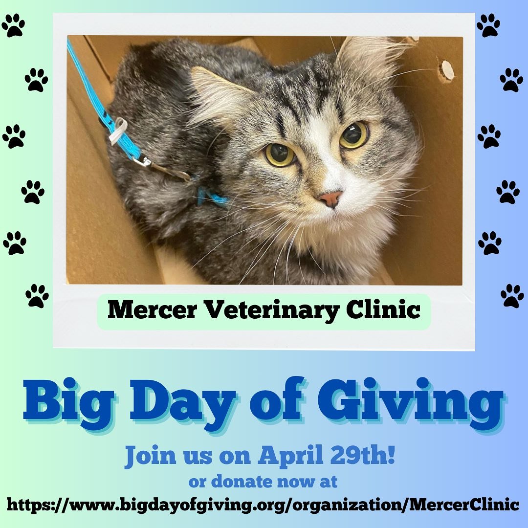 Founded in 1993, Mercer is a non-profit run by UC Davis veterinary students and volunteer veterinarians who are passionate about helping out by providing free medical care for the companion animals of individuals experiencing homelessness 

It is bec