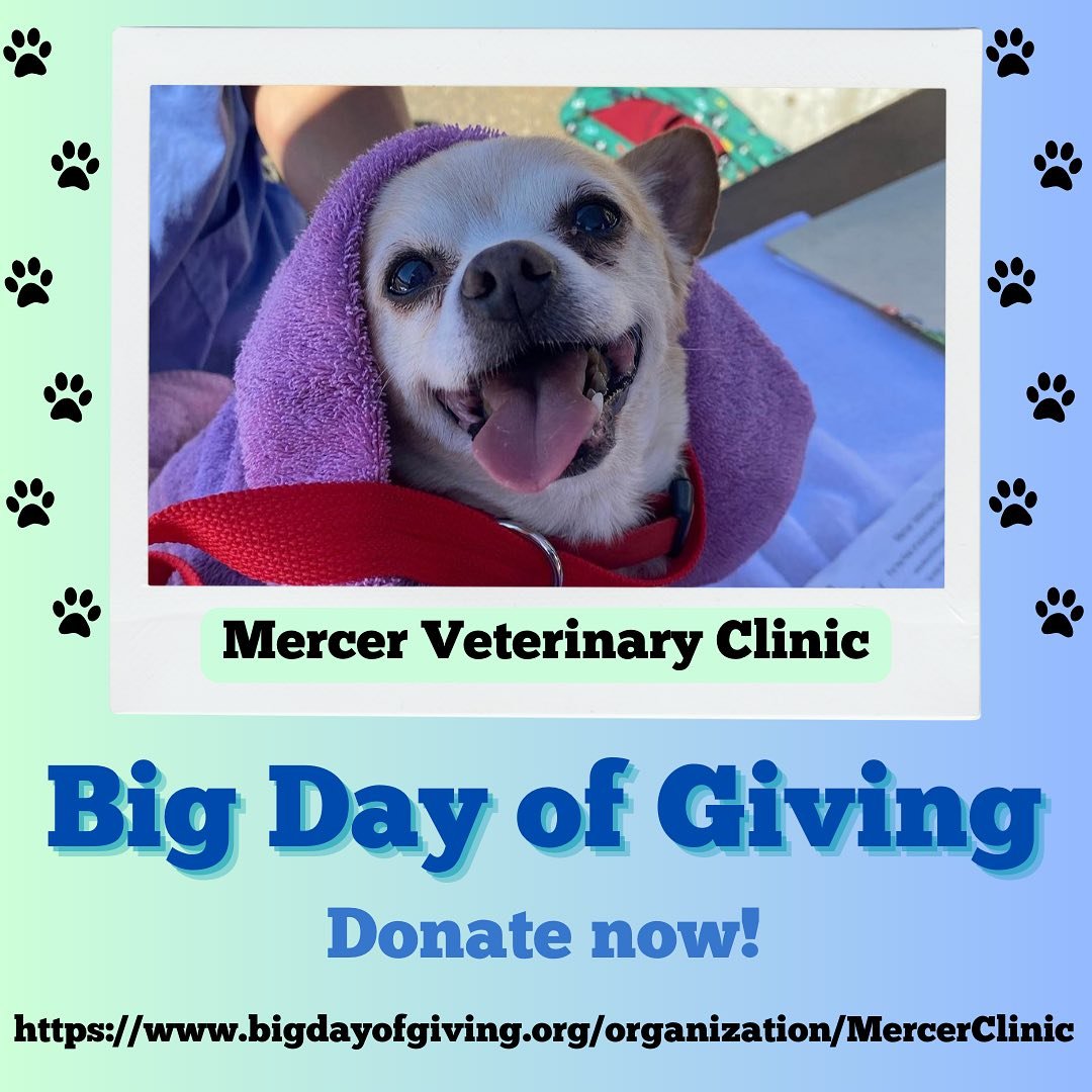 Our big day of giving is today! Donate now to help support our services of free medical care for pets of owners in need! Your support, even in small amounts will help in ensuring our clinics run smoother. 

Donations can be made until May 2nd at the 