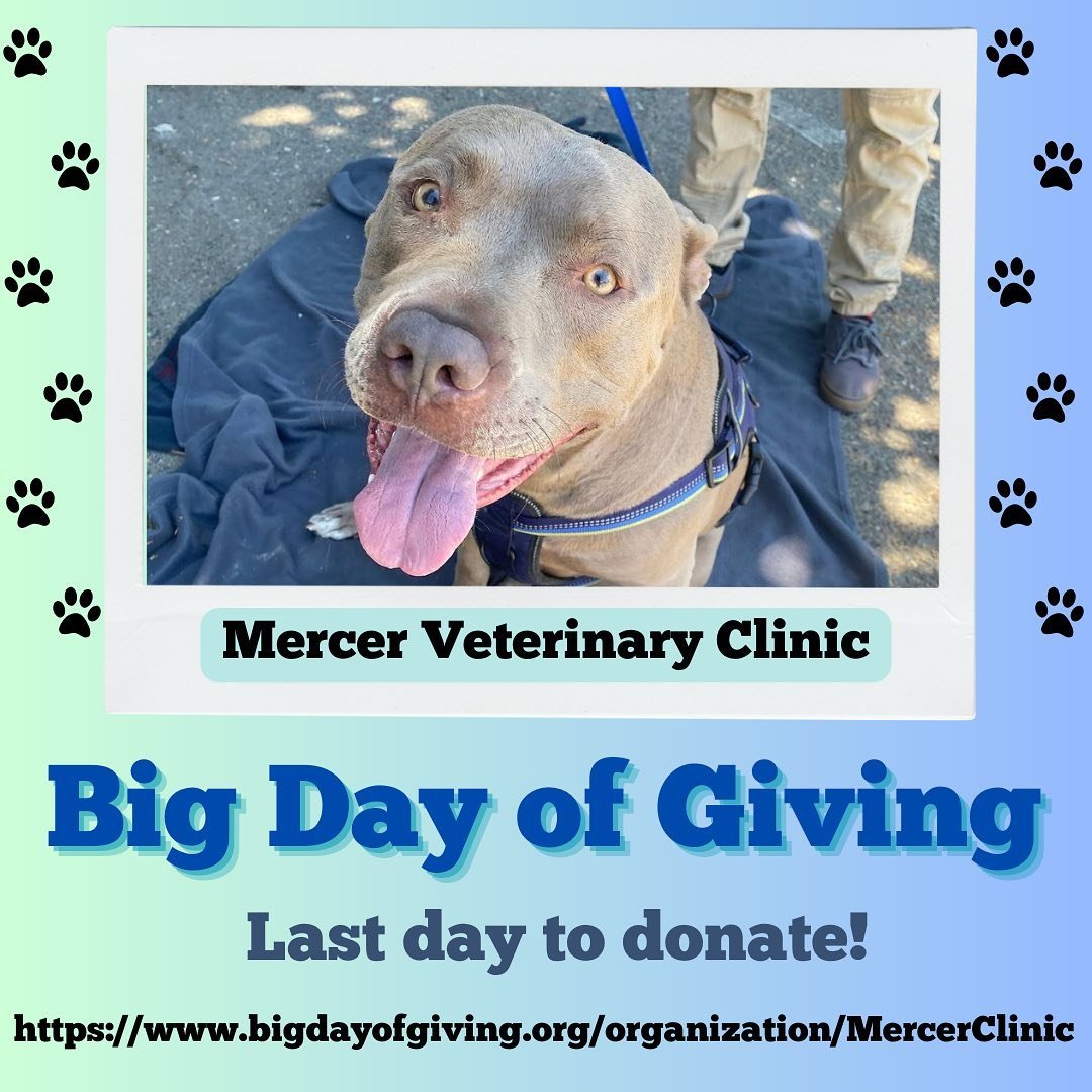Today is the last day for donations to help support free medical services to pets of owners in need! Our clinics wouldn&rsquo;t be possible without your support and we want to thank everyone who has already donated! Donations will be accepted until 1