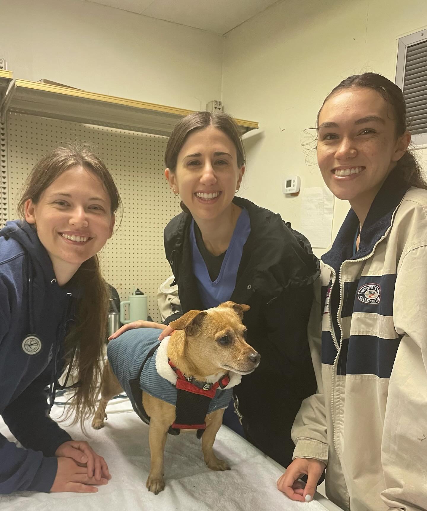 Thank you to all of the wonderful volunteers, clients, and patients who helped make May Clinic a success! We hope to see everyone next month 🐾