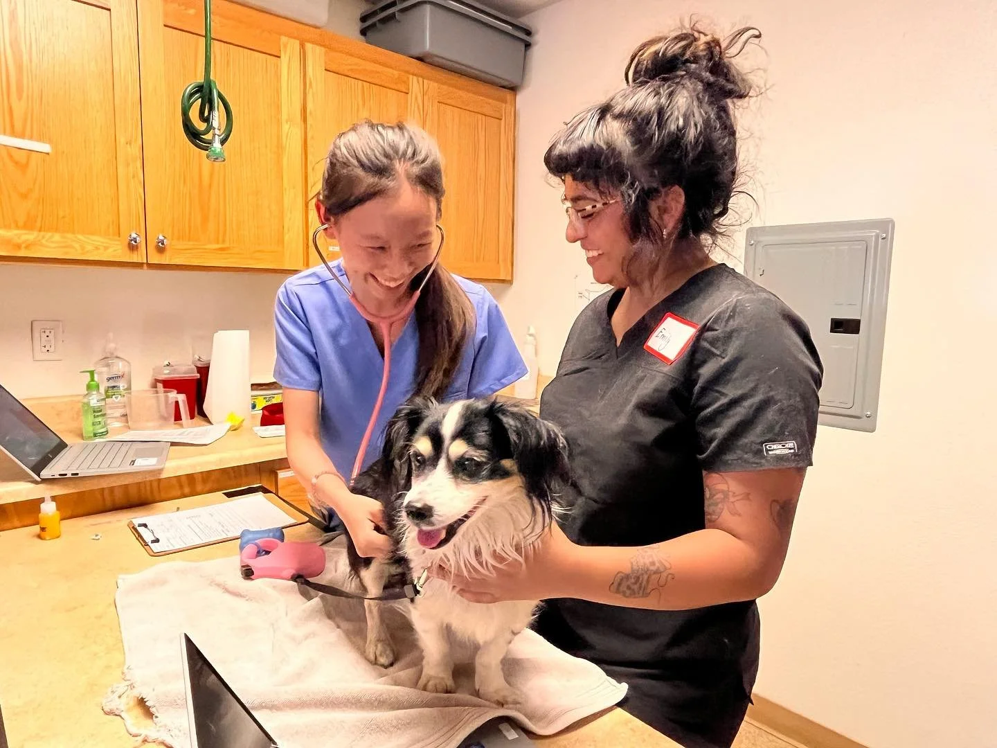 Another successful clinic yesterday thanks to our amazing volunteers!! 🐾 

Next clinic: 10/12