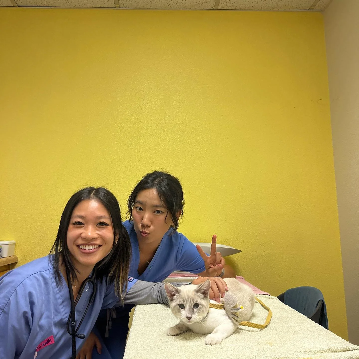 Thank you to our amazing volunteers who showed up to help this Saturday! Our next clinic will be on Sep 14th! 🐾