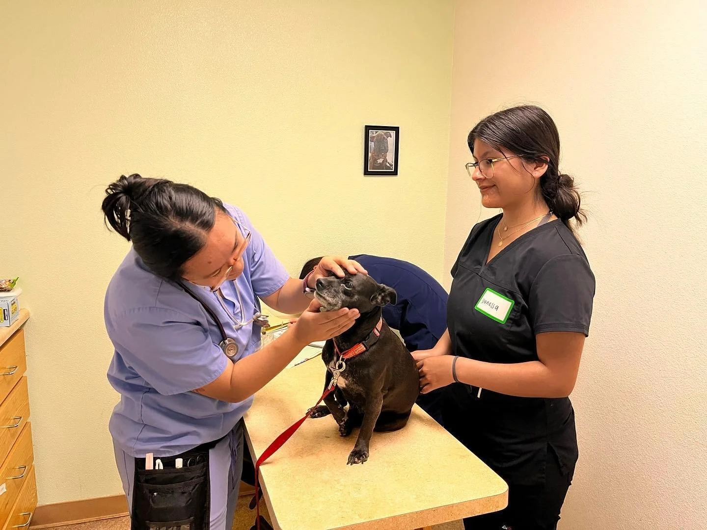 Our volunteers get it done! Despite the timing with finals and summer, our amazing volunteers were still able to make this clinic successful as always.
Next clinic: 7/13 🐾

Good luck with finals Aggies!