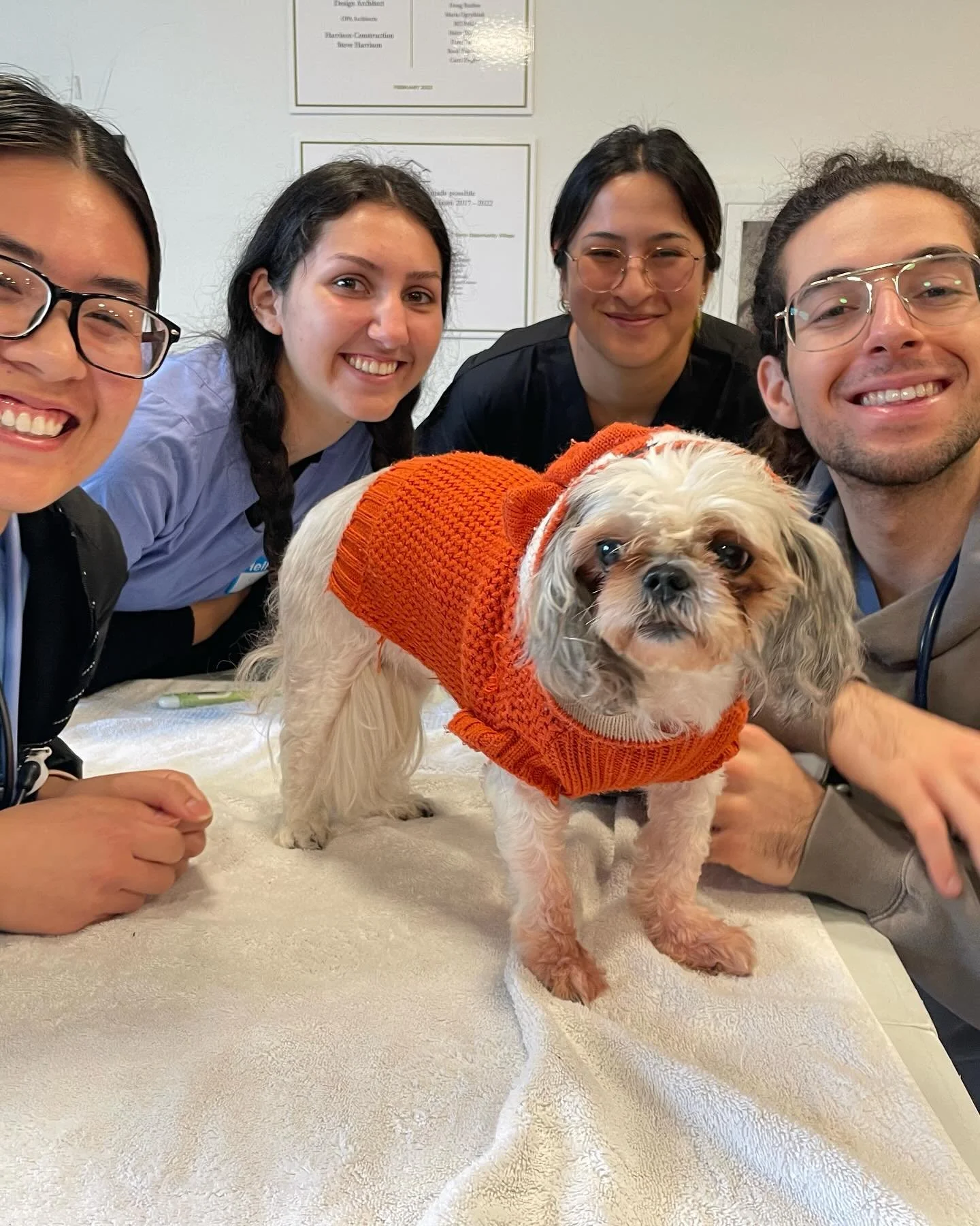 This November clinic we are grateful for our volunteers, clients, and patients!