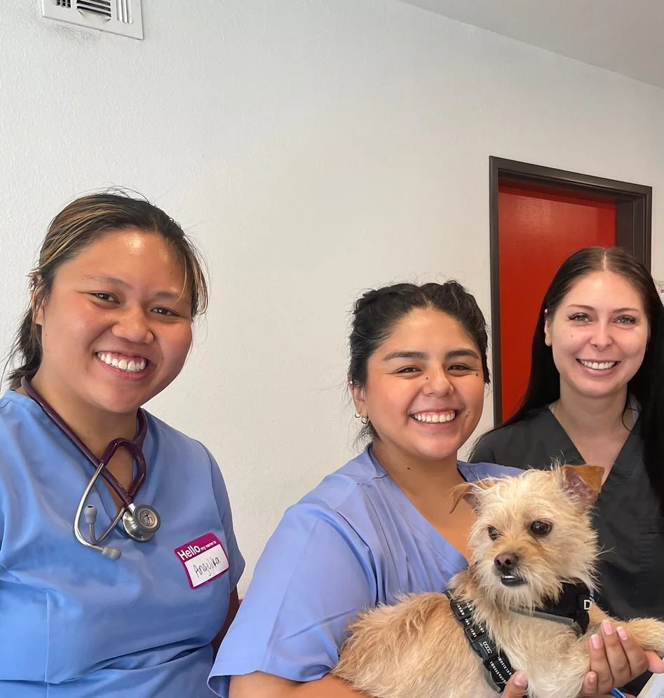 Another great clinic day today! We love our amazing volunteers, patients, and clients. Thank you for making our August clinic such a success!🐶☀️🐱