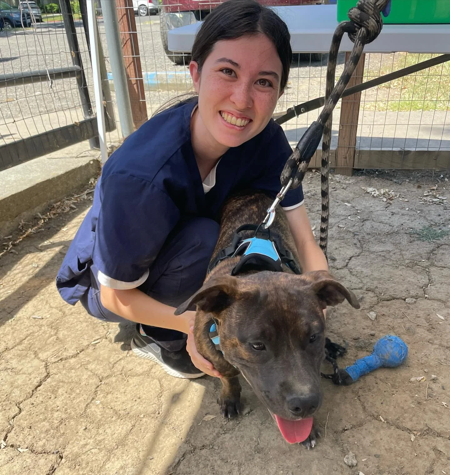 Started the summer out strong today with June Clinic! Thank you to everyone who made another successful clinic day possible, we couldn&rsquo;t have done it without our amazing patients, clients, and volunteers. Already looking forward to July Clinic!