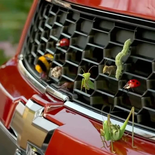 chevy.jpg