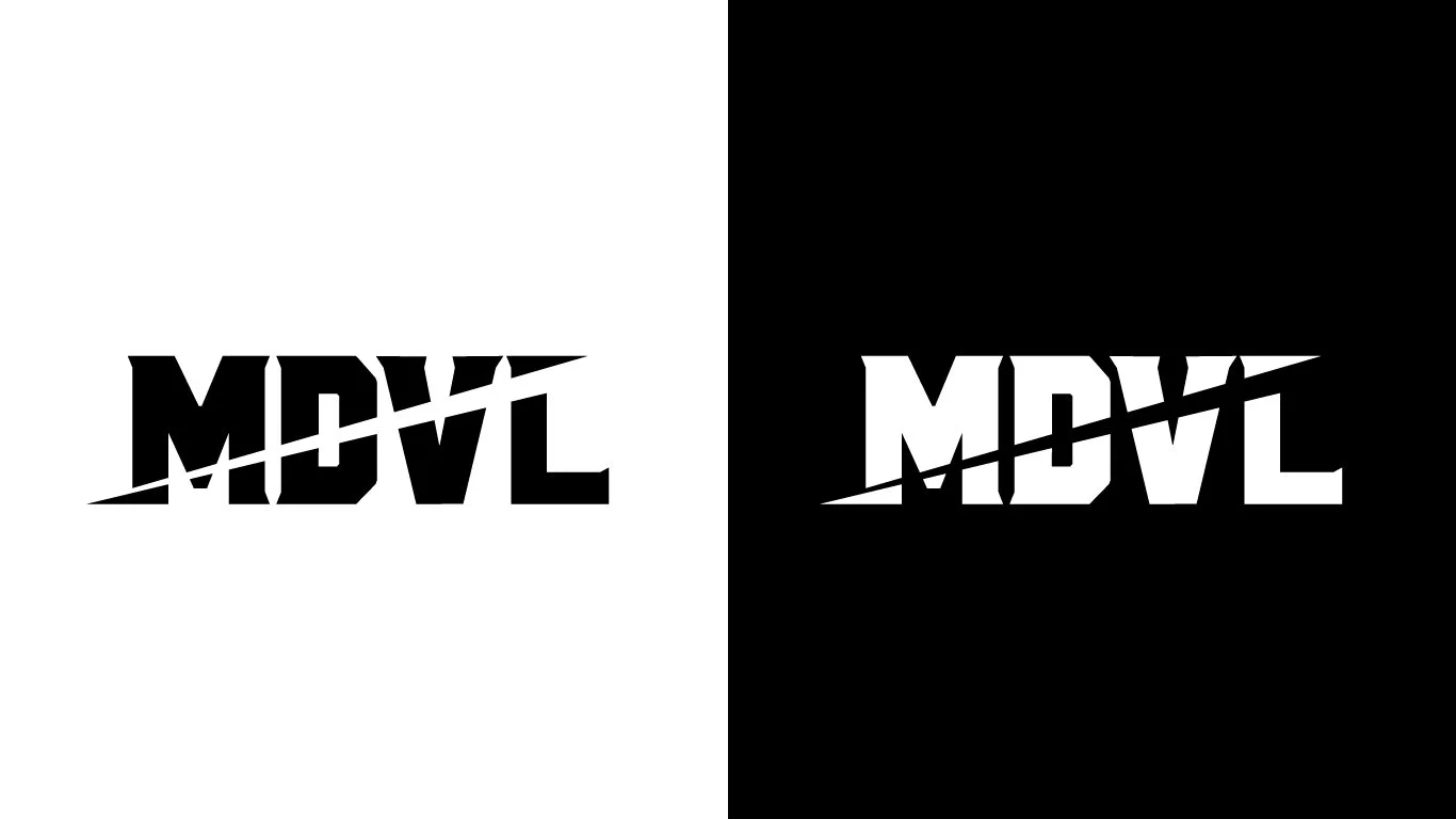 MDVL_Case Study_2.jpg