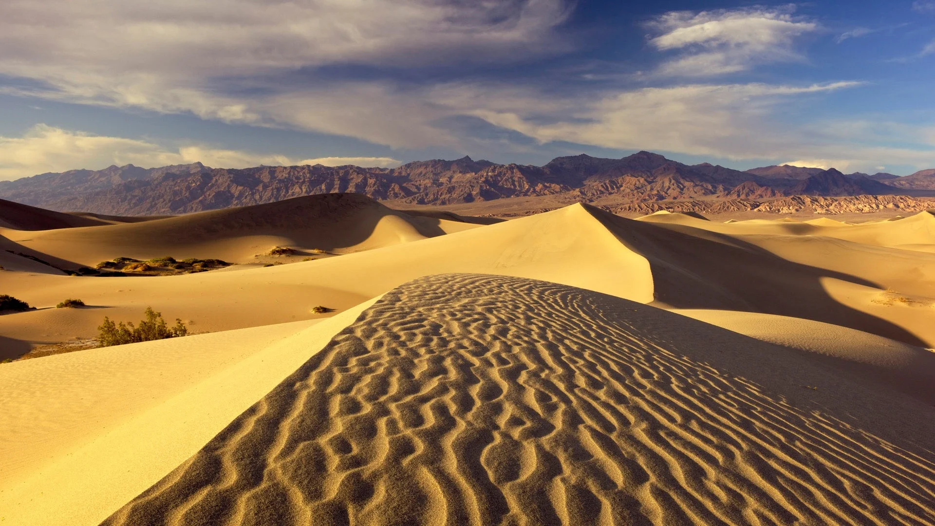 Sand dunes_background.jpg