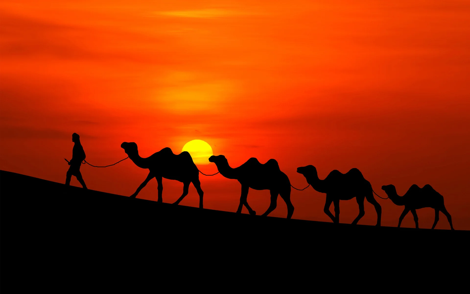 arabian_sunset_camels.jpg