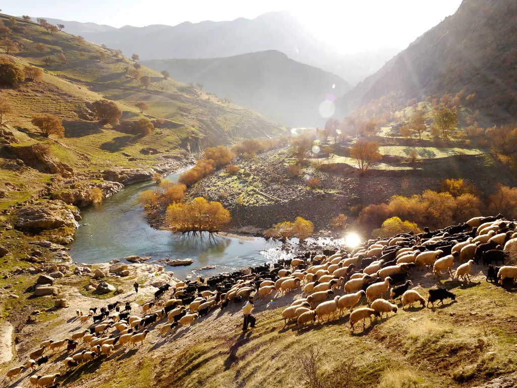 Güneydoğu-Anadoluda-Kırsal-Toplumsal-Yapıda-Değişim-Öne-Çıkan.jpg