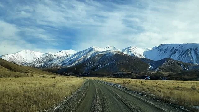 Fresh snow in the Craigieburn range.
View from the bottom and view from the top, from yesterday powder hunting exploration. 
#newzealand
#selwynsix #skitheclubbies #skicanterbury #newzealandski #powderhuntersnow