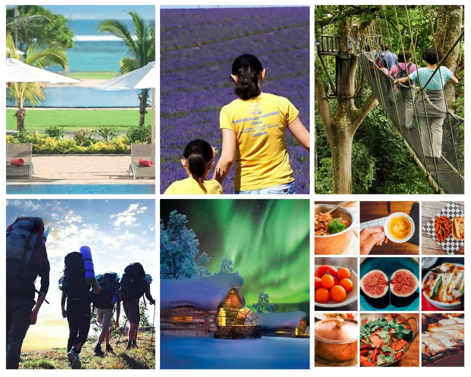 出境旅游消费模式