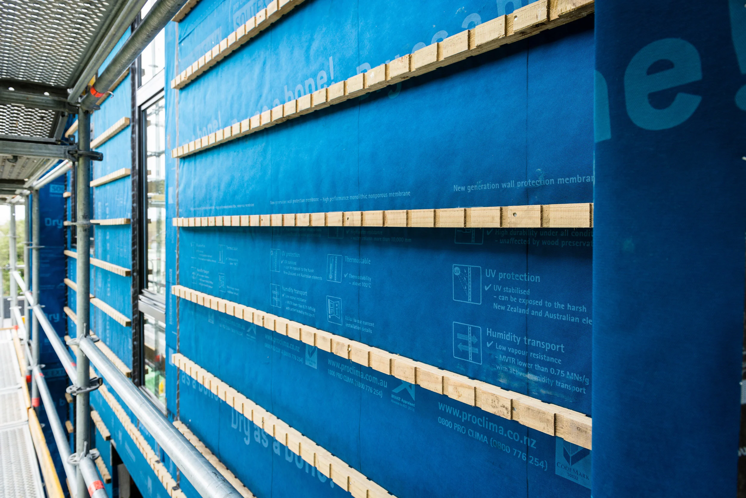 D.S.Sumner.Web (11 of 14).jpg