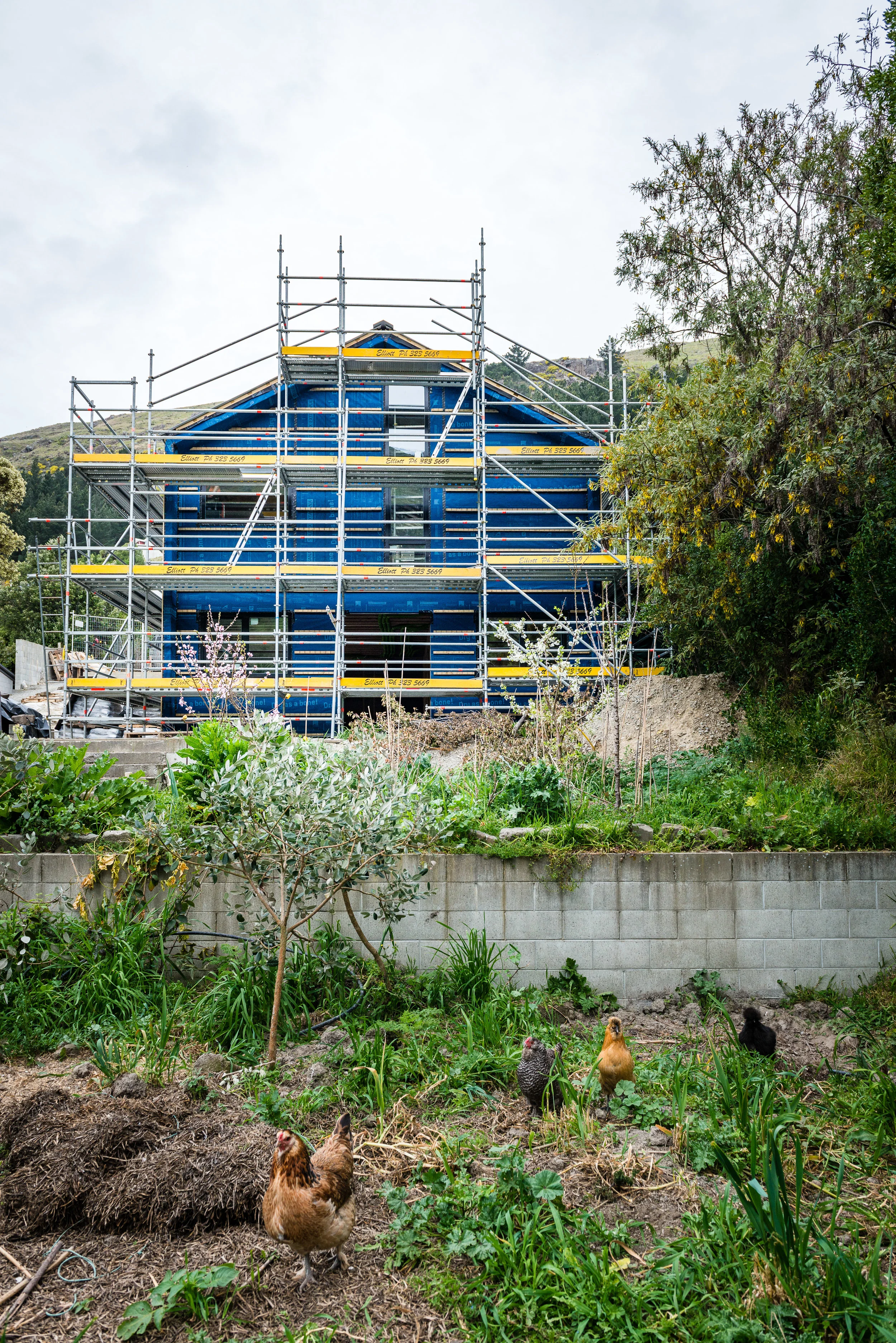 D.S.Sumner.Web (5 of 14).jpg