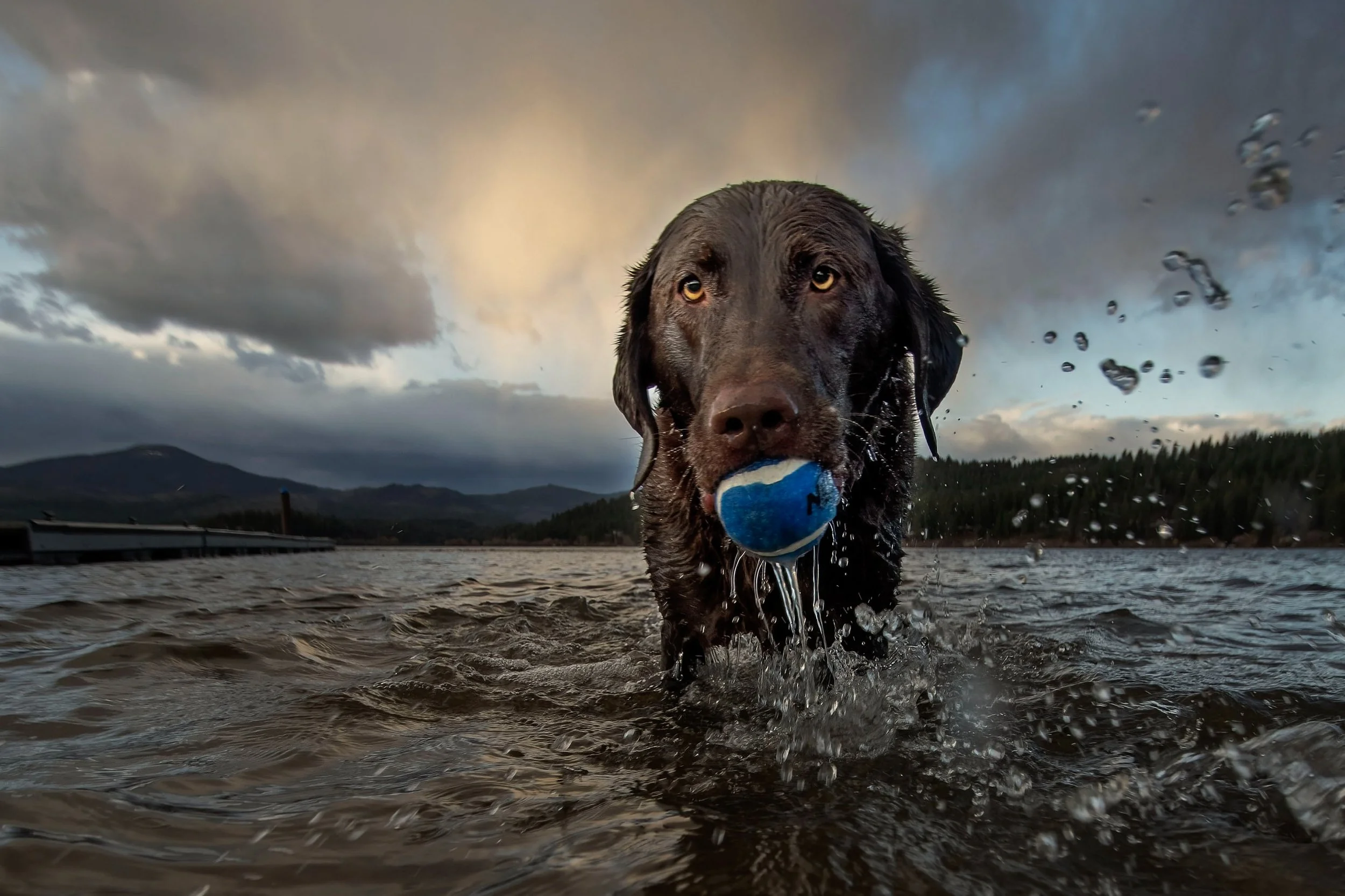 Little One at Hauser Lake Boat Launch in Idaho, USA