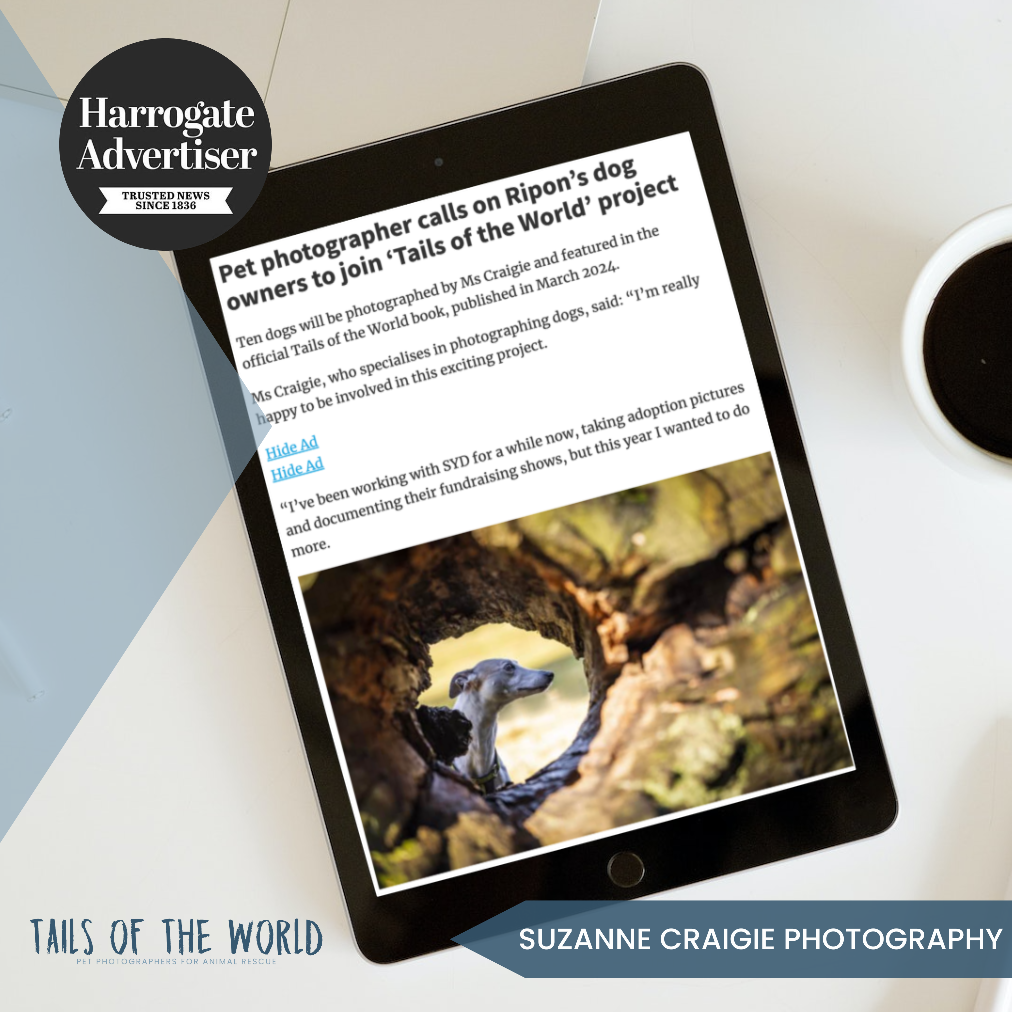 Pet photographer calls on Ripon’s dog owners to join ‘Tails of the World’ project: Harrogate Advertiser