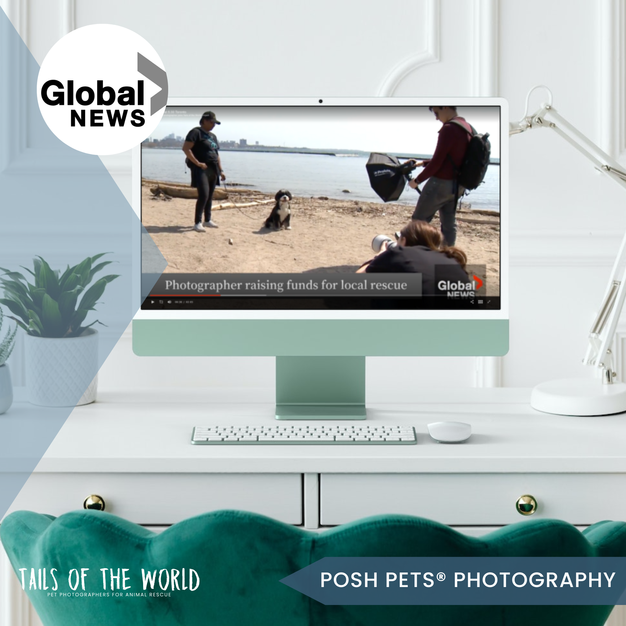 Local Toronto pet photographer joins Tails of the World project: Global News