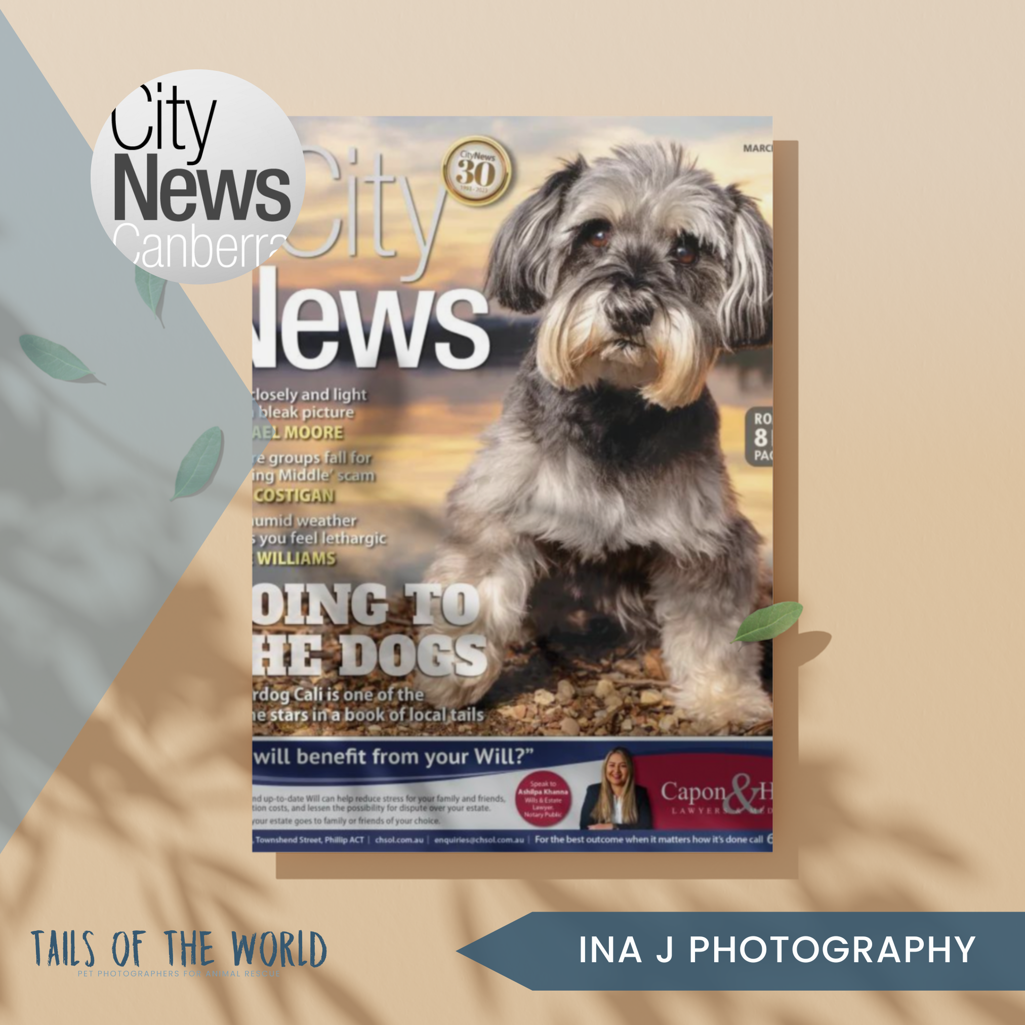 Pet photographer with a passion for a tail or two: City News Canberra
