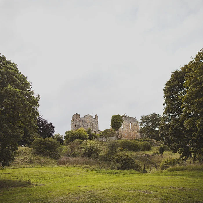 Photo: Heather Birnie