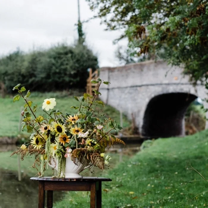 Wild-autumnal-flowers.jpg-nggid03780-ngg0dyn-0x600-00f0w010c010r110f110r010t010.jpg
