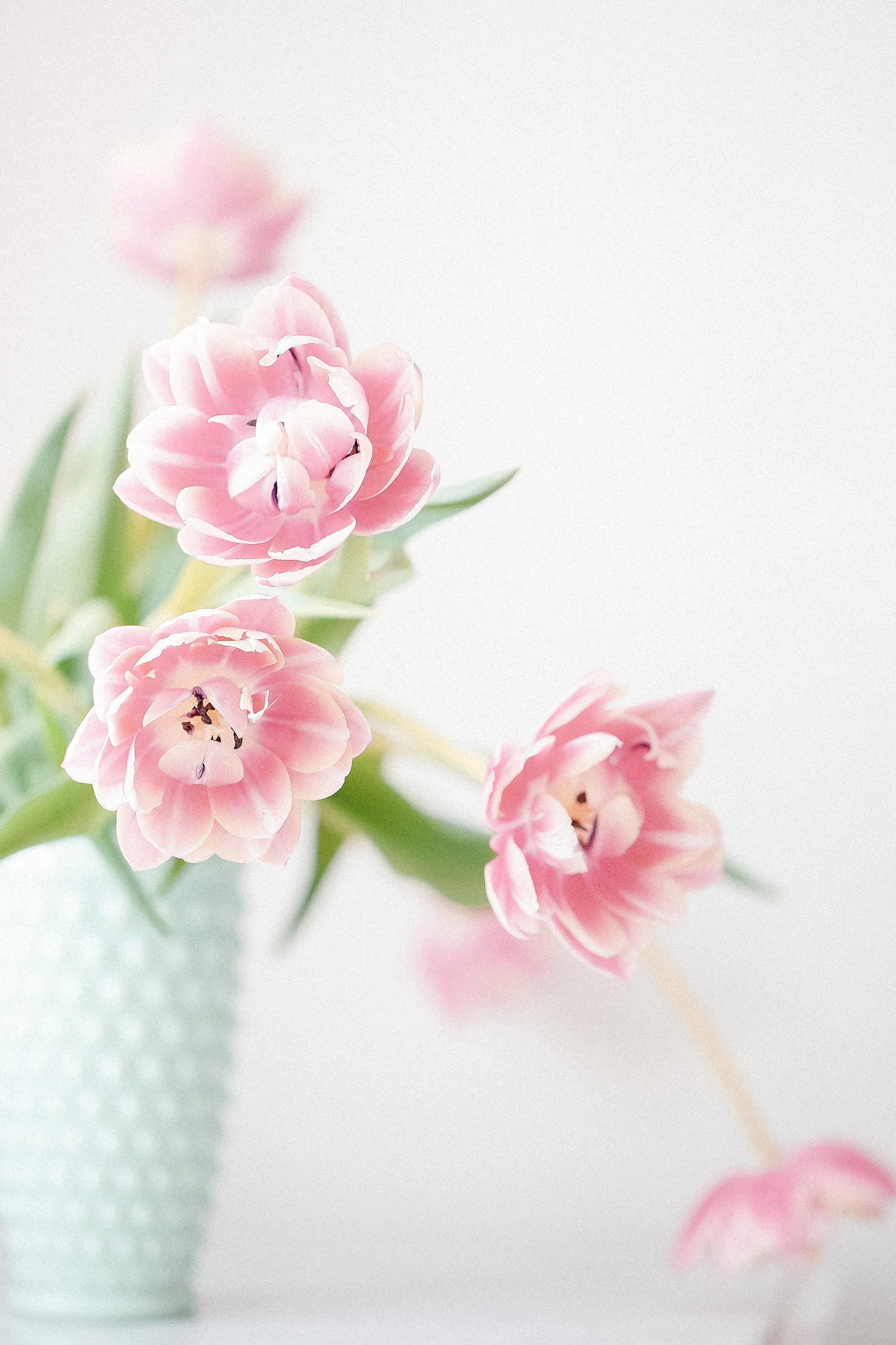 haute-stock-photography-refresh-collection-final-11.jpg