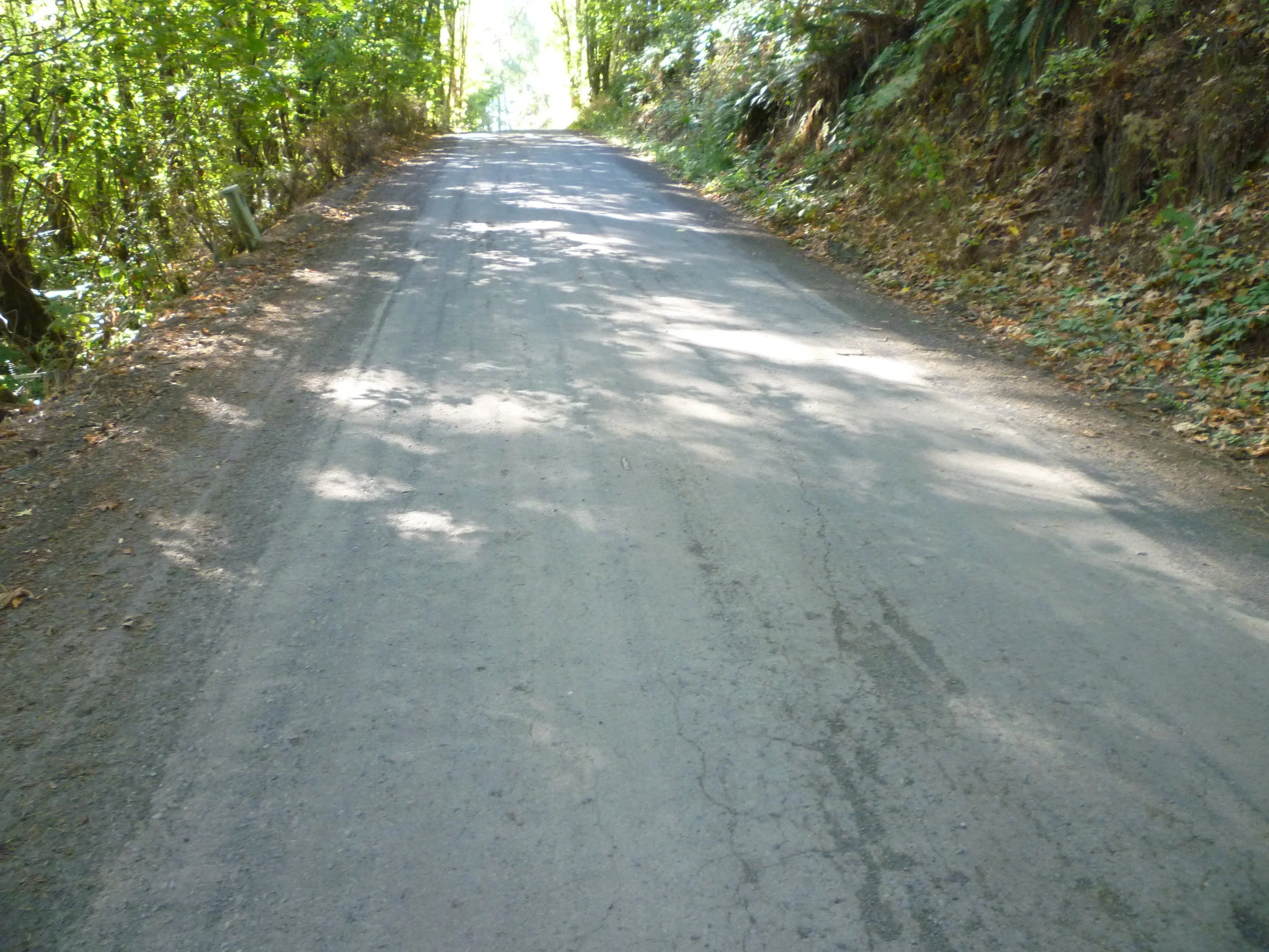 P1000846.JPG