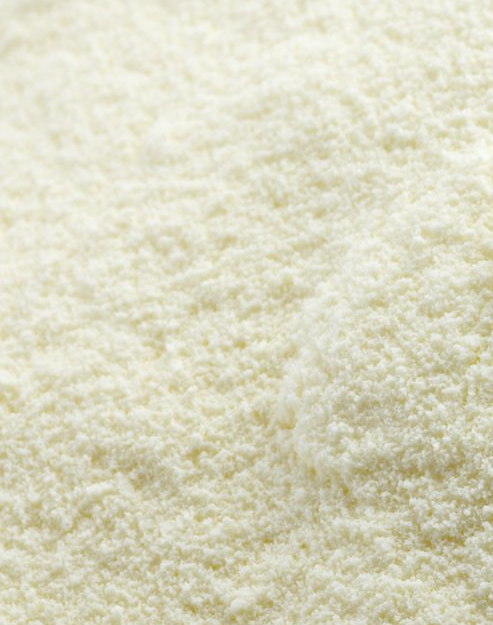 Casein powder.png