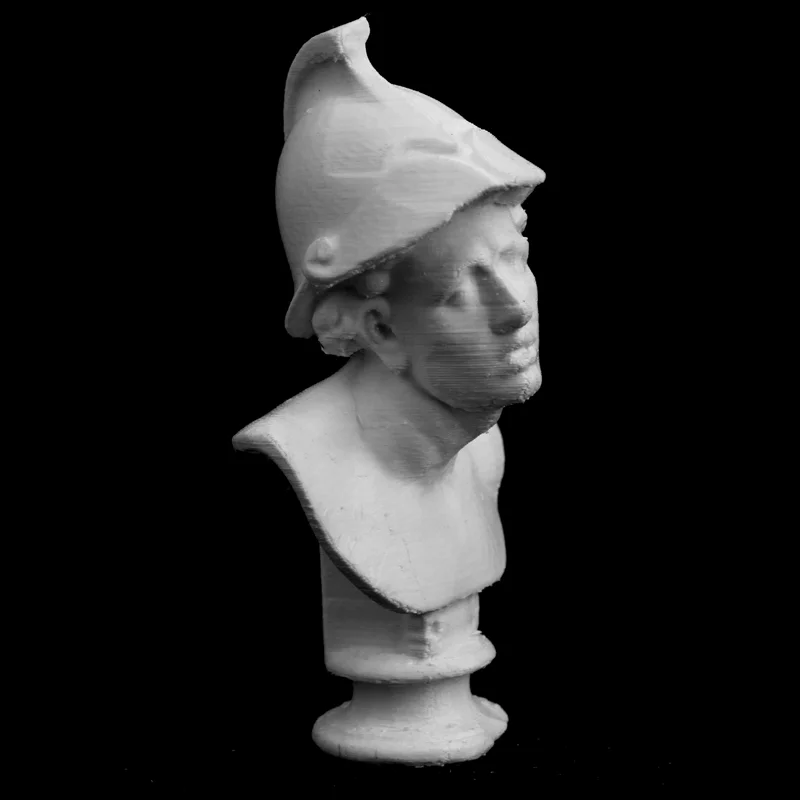 Head of a Young Warrior