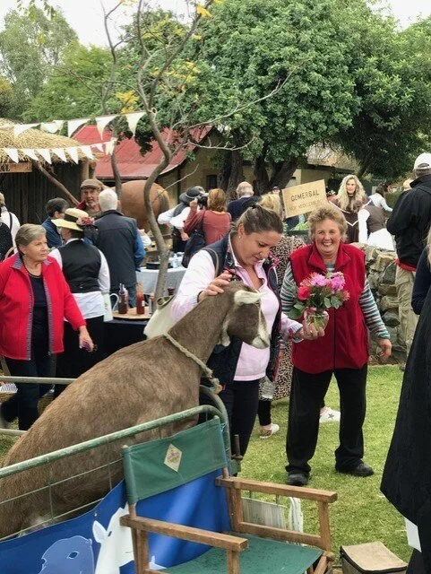 Note from Lisa -Journeying into rural australia