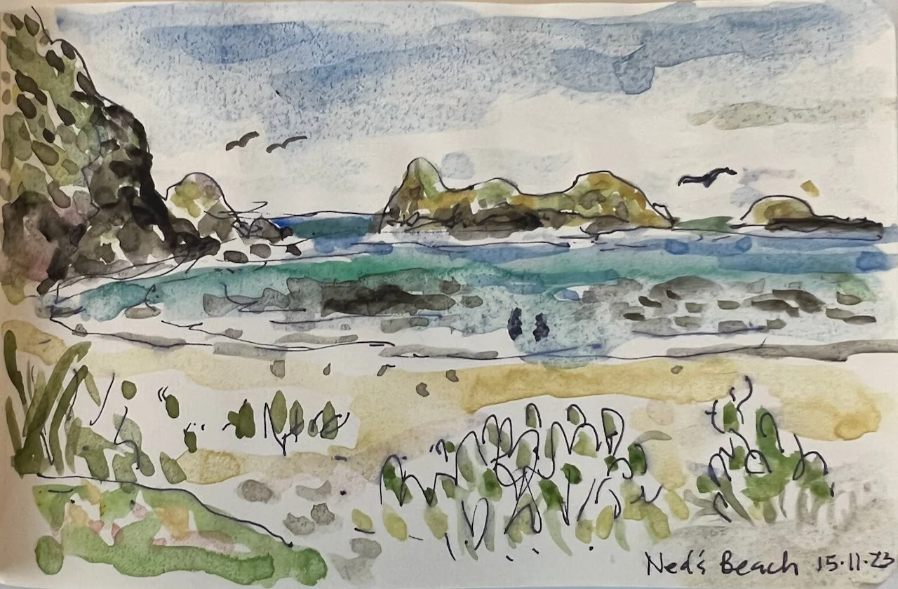NEWS from Lisa:  Springing and Snorkelling into Summer