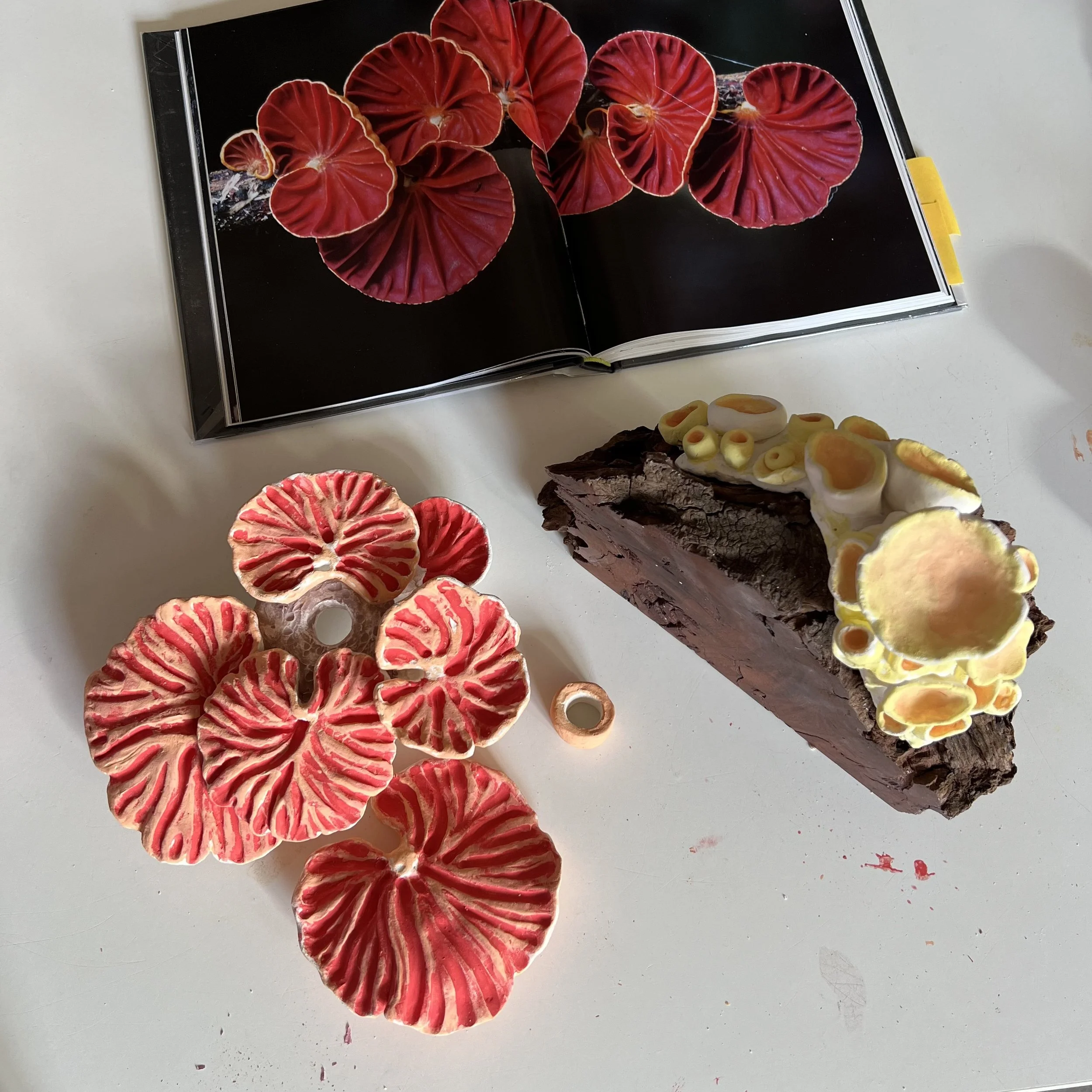 NEWS from Lisa: Mindful March