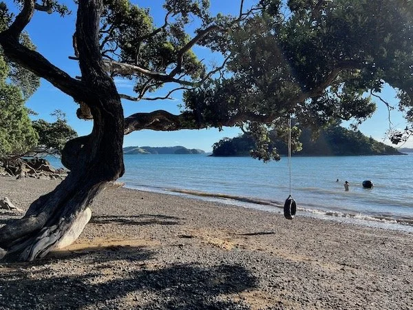 NEWS from Lisa:  January Joy