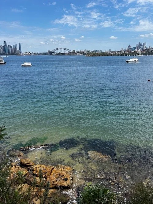 Sydney Harbour.jpeg