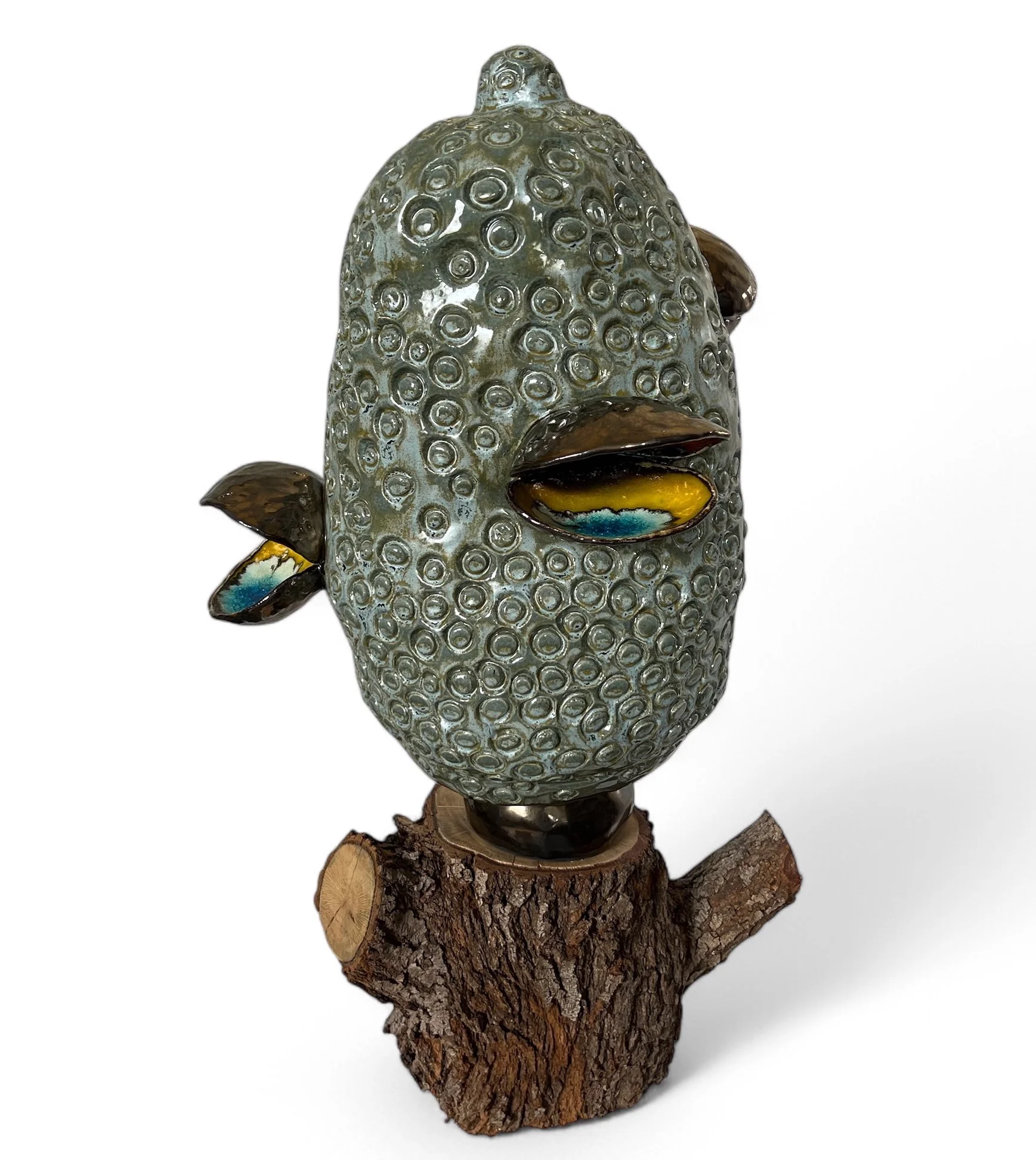 Big Beautiful Banksia