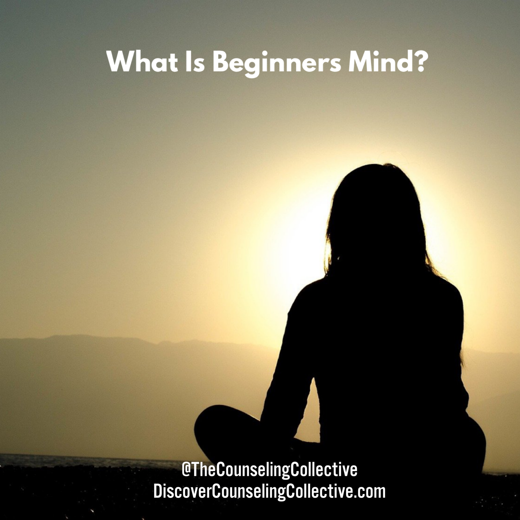 What is Beginners Mind?
