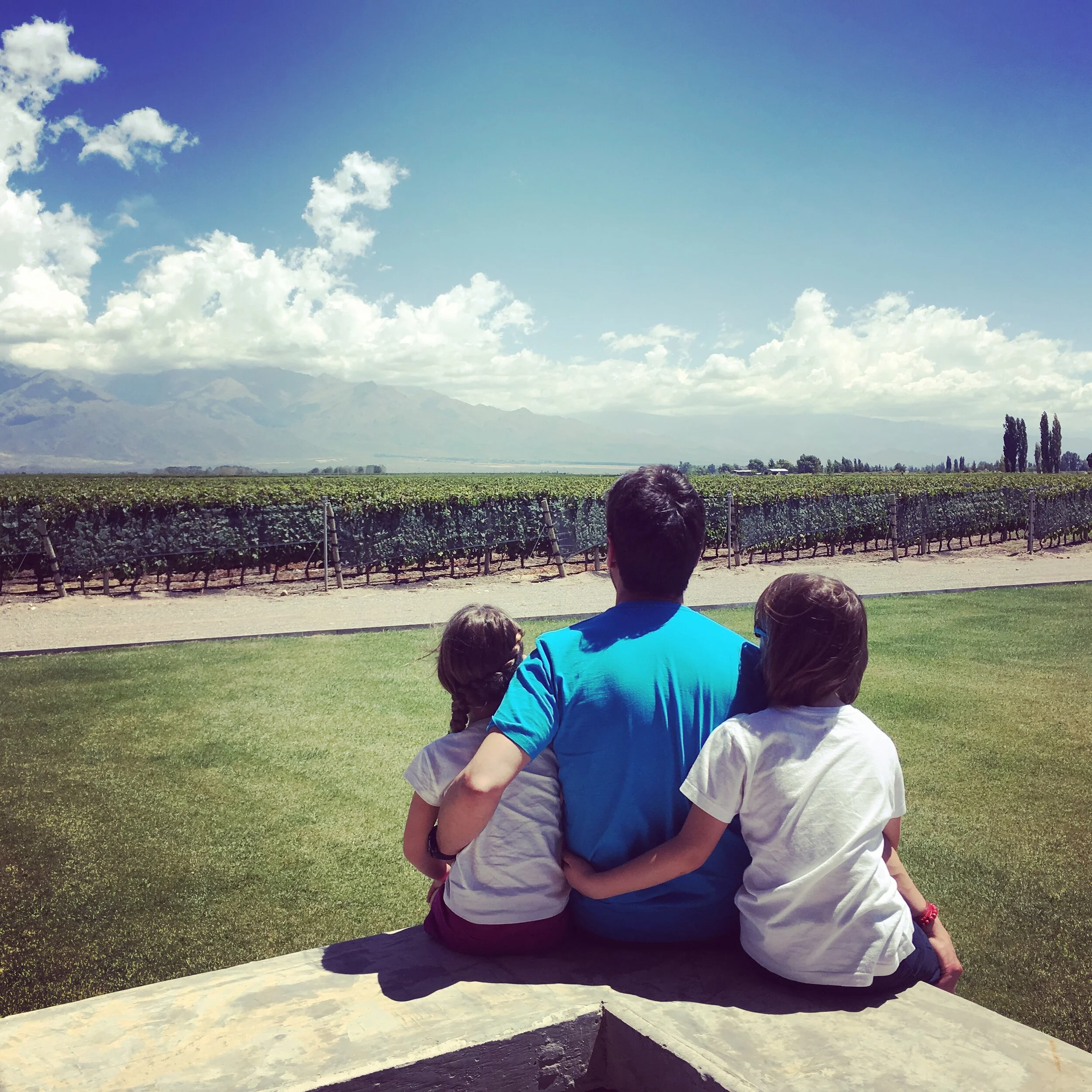My story. Wine and me. Me and wine. Part 3.