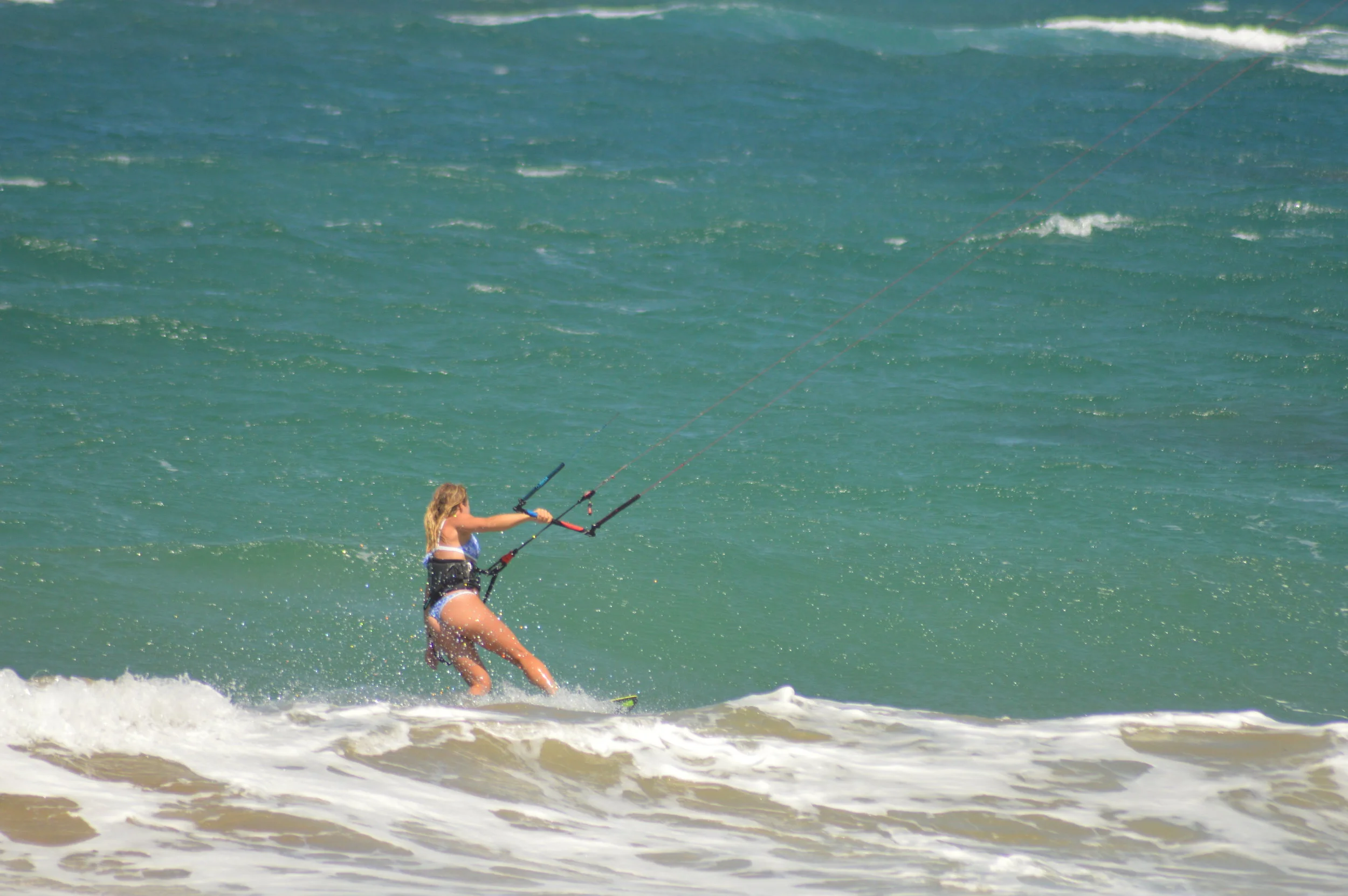 DSC_0203.JPG
