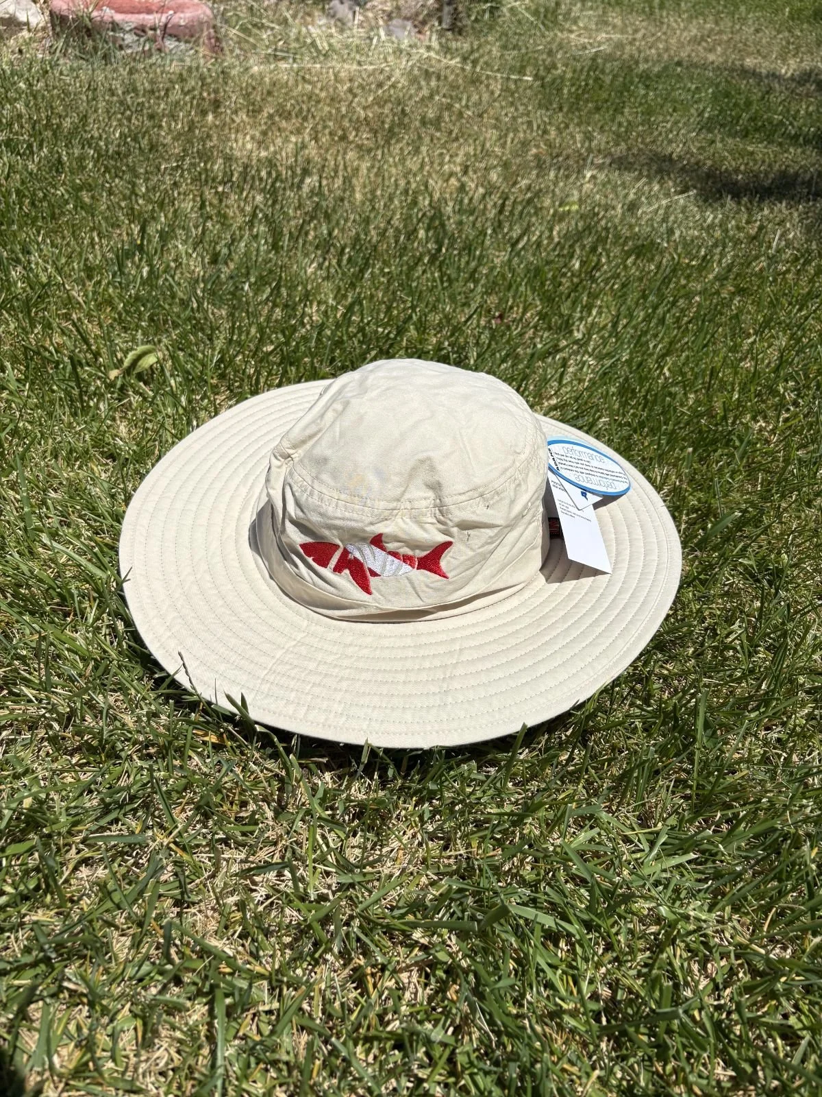 IMG_20260508_150654.jpeg